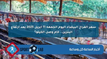 سعر الفراخ البيضاء اليوم الجمعة 11 إبريل 2025 بعد ارتفاع البنزين.. كام وصل الكيلو؟